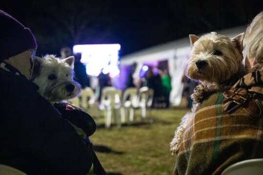 Australian Celtic Festival