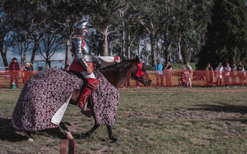 Gallery - Australian Celtic Festival